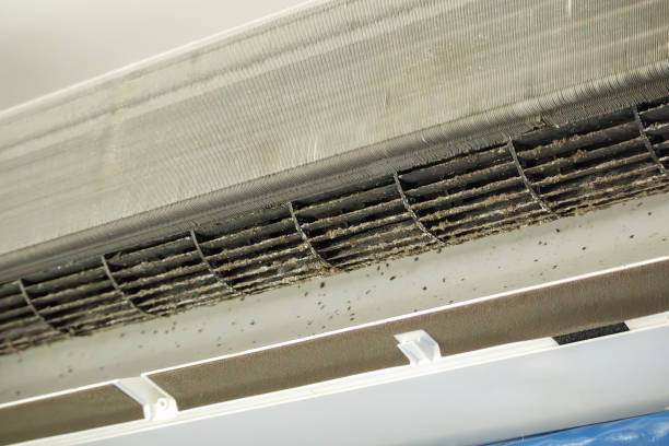 Best Best Air Duct Cleaning Company  in Heflin, AL